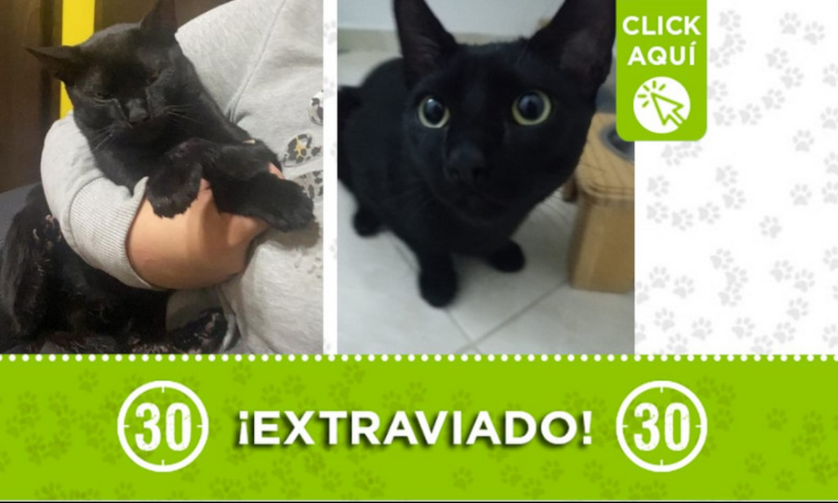 "Martin" se perdió en Manrique Oriental "Martin" se perdió en Manrique Oriental