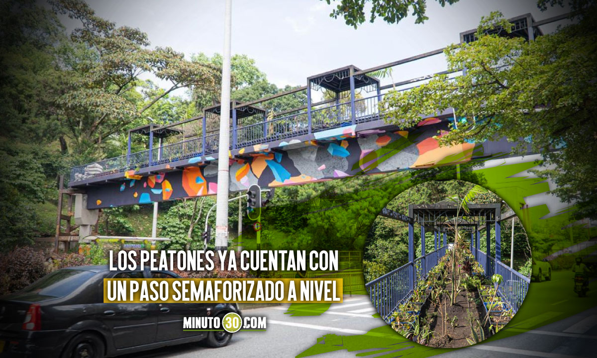Puente peatonal de la Av. 33 ya es un paso de fauna