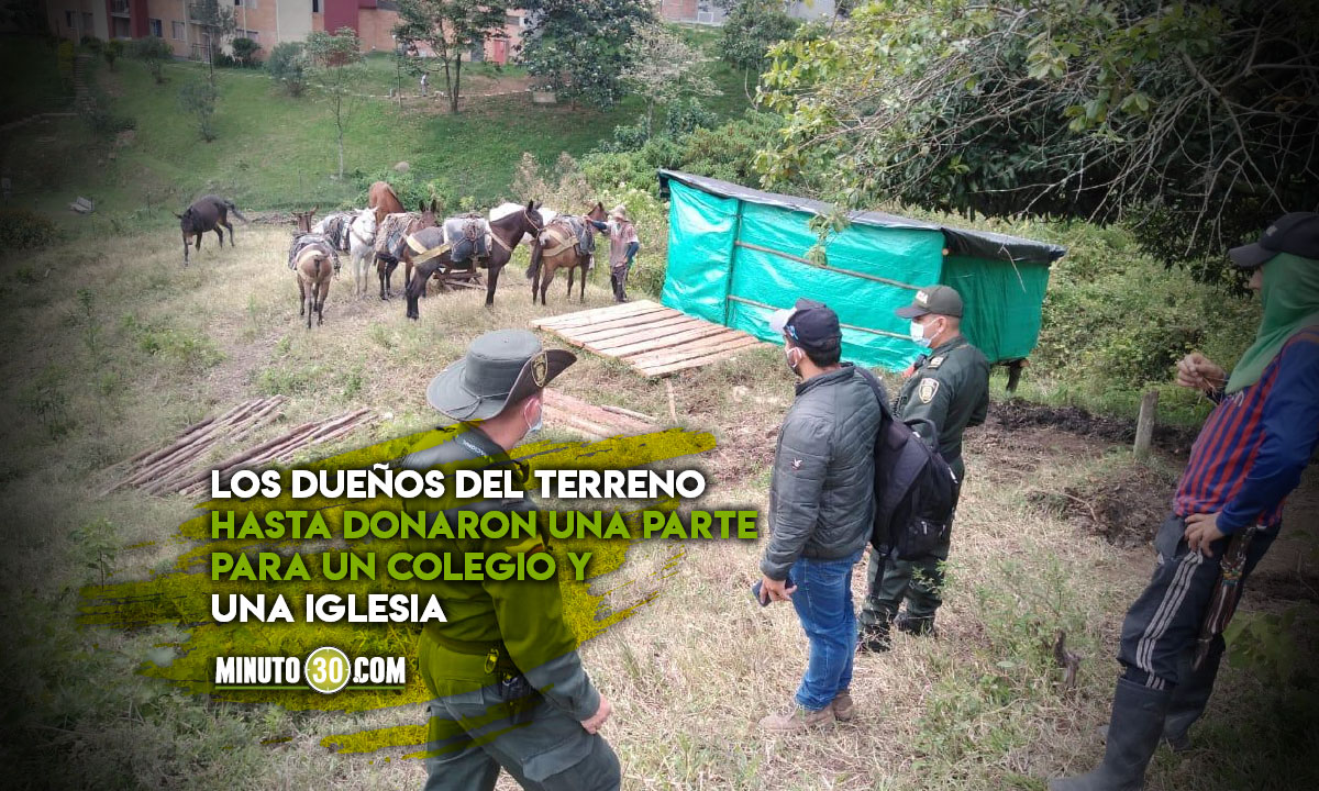 ¡Tiene todos los permisos! Dueño del lote donde talan árboles en Rodeo Alto contó lo que pasa 1 Rodeo Alto