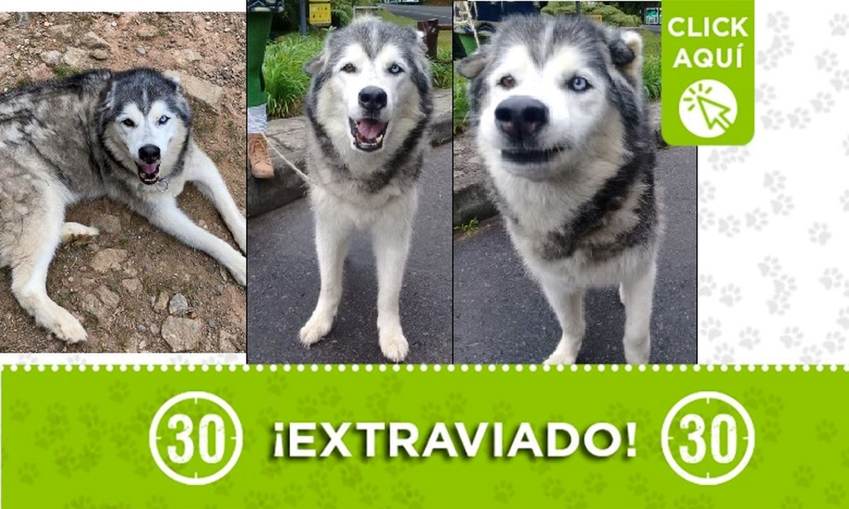 Apolo perdido Apolo perdido