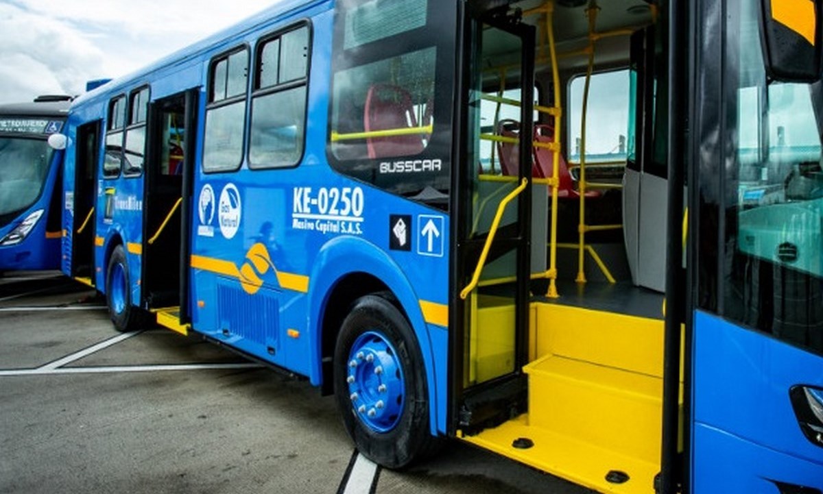 buses