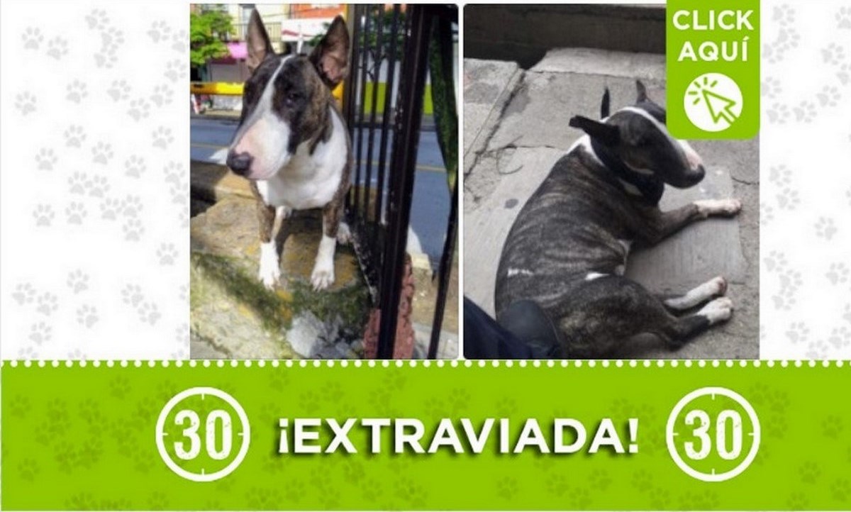 "Danna" se perdió en Manrique Central 1 danna manriquec8
