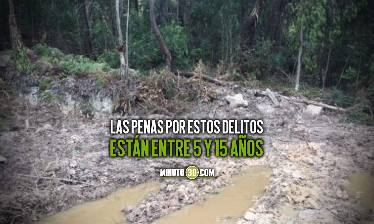 Aprueban proyecto para crear seis nuevos delitos ambientales Aprueban proyecto para crear seis nuevos delitos ambientales