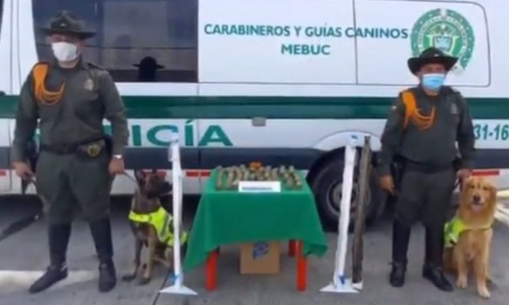 Incautaron estupefacientes en tubos de gel antibacterial