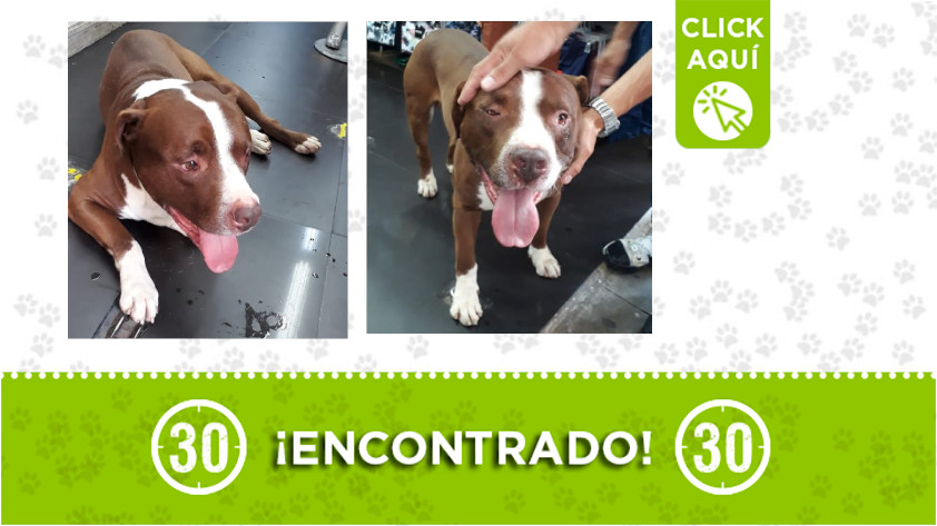 Centro de Medellín-encontrado Centro de Medellín-encontrado
