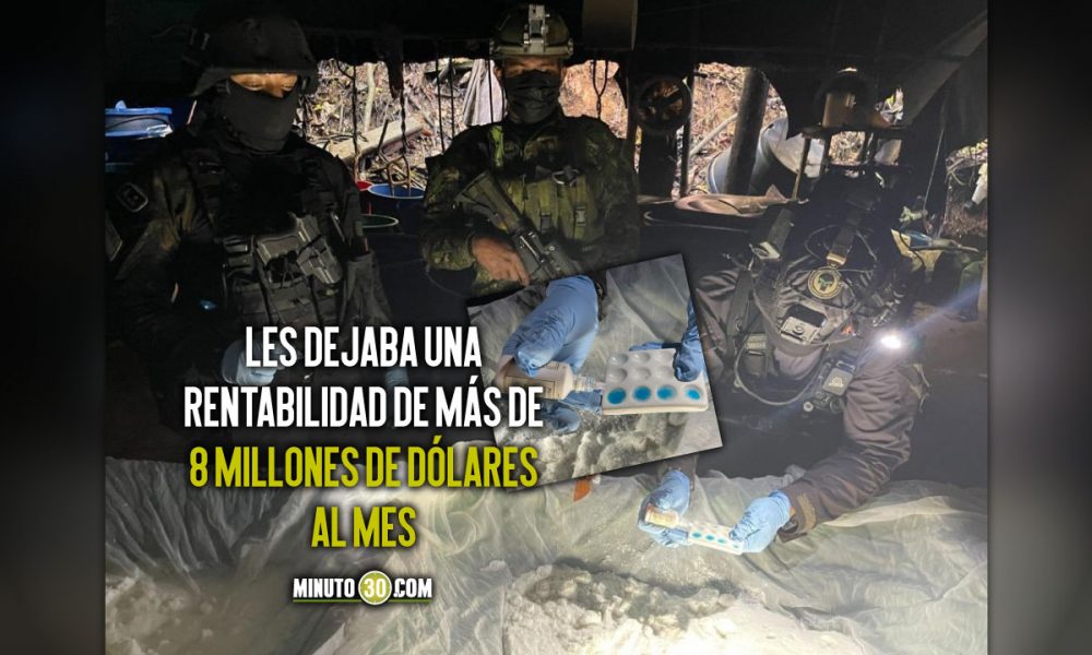 Incautaron más de 6 toneladas de cocaína del ELN