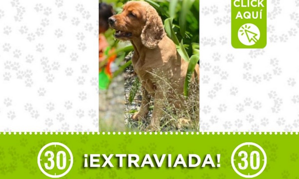 kyra san cristobal 28 junio