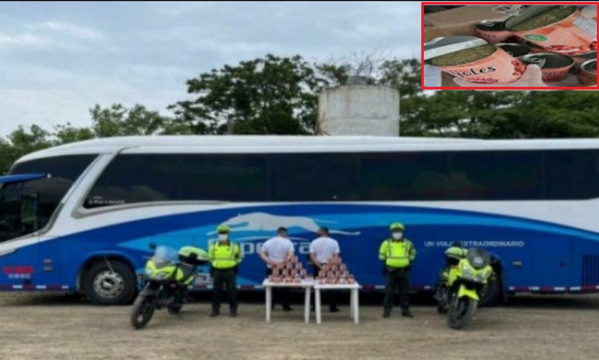 En 36 latas de frijoles hallaron más de 17 kilos de marihuana 1 latas frijoles marihuana