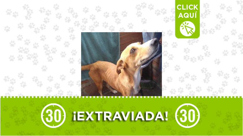 Clarita-San Javier Clarita-San Javier