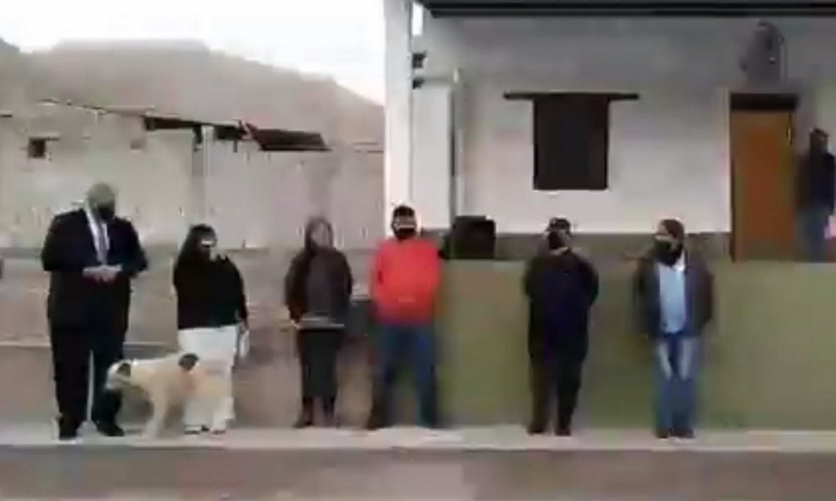 Perro callejero orinó a alcaldesa en pleno discurso 1 perro irina alcaldesa
