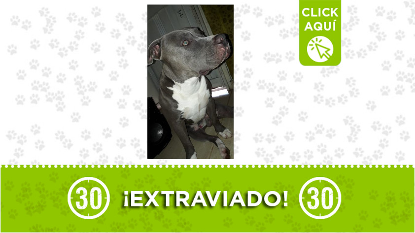 La familia de ‘Ragnar’ lo está buscando ¡Comparte!