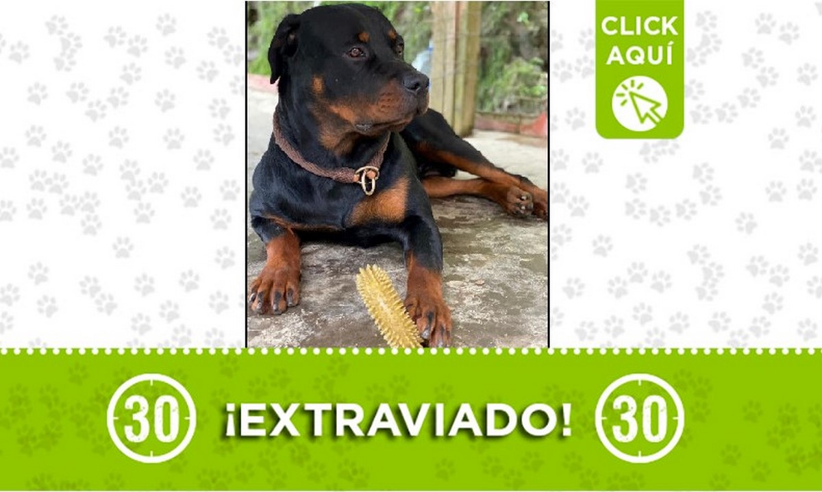 Ra perdido Ra perdido