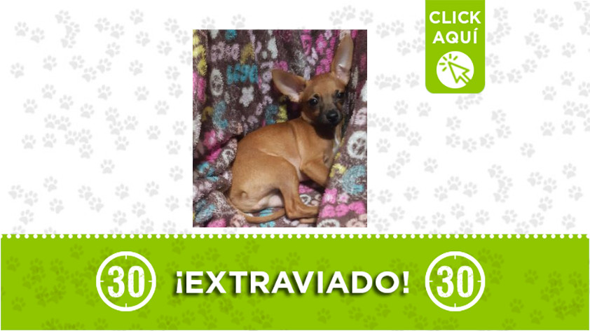 Tobby-Manrique Tobby-Manrique