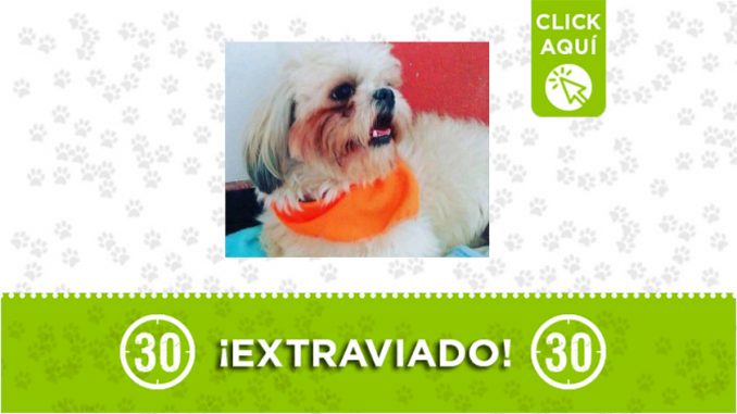 Charly Charly