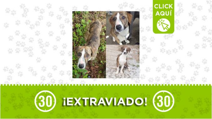 Cleo Cleo