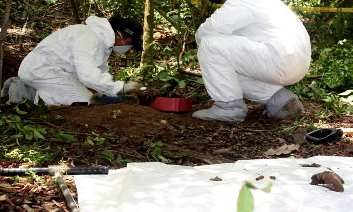 En Cementerio de La Dorada recuperaron 27 cuerpos de posibles víctimas del conflicto armado 1 La Dorada