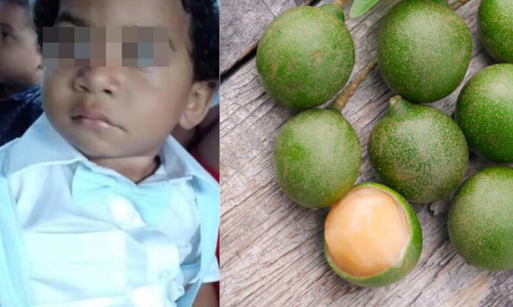 ¡Qué pesar! Un niño de un año se ahogó con una 'pepa' de mamoncillo