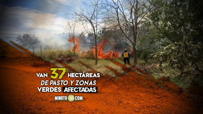 Ocho-municipios-de-el-Huila-estan-en-alerta-naranja-por-incendios-forestales Huila