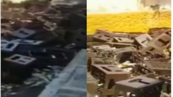 Olaya Olaya