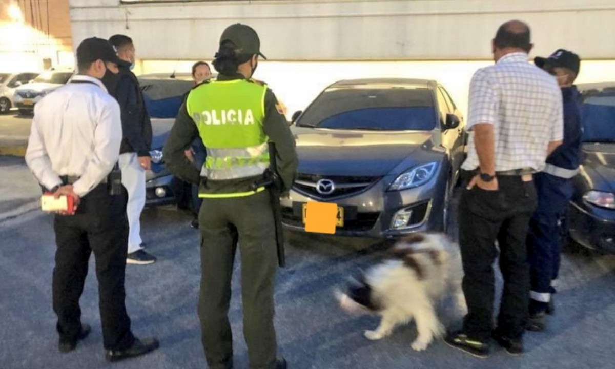 Dejaron un perrito encerrado en un carro mientras se iban de 'borondo' al centro comercial 1 Dejaron un perrito encerrado en un carro mientras se iban de 'borondo' al centro comercial
