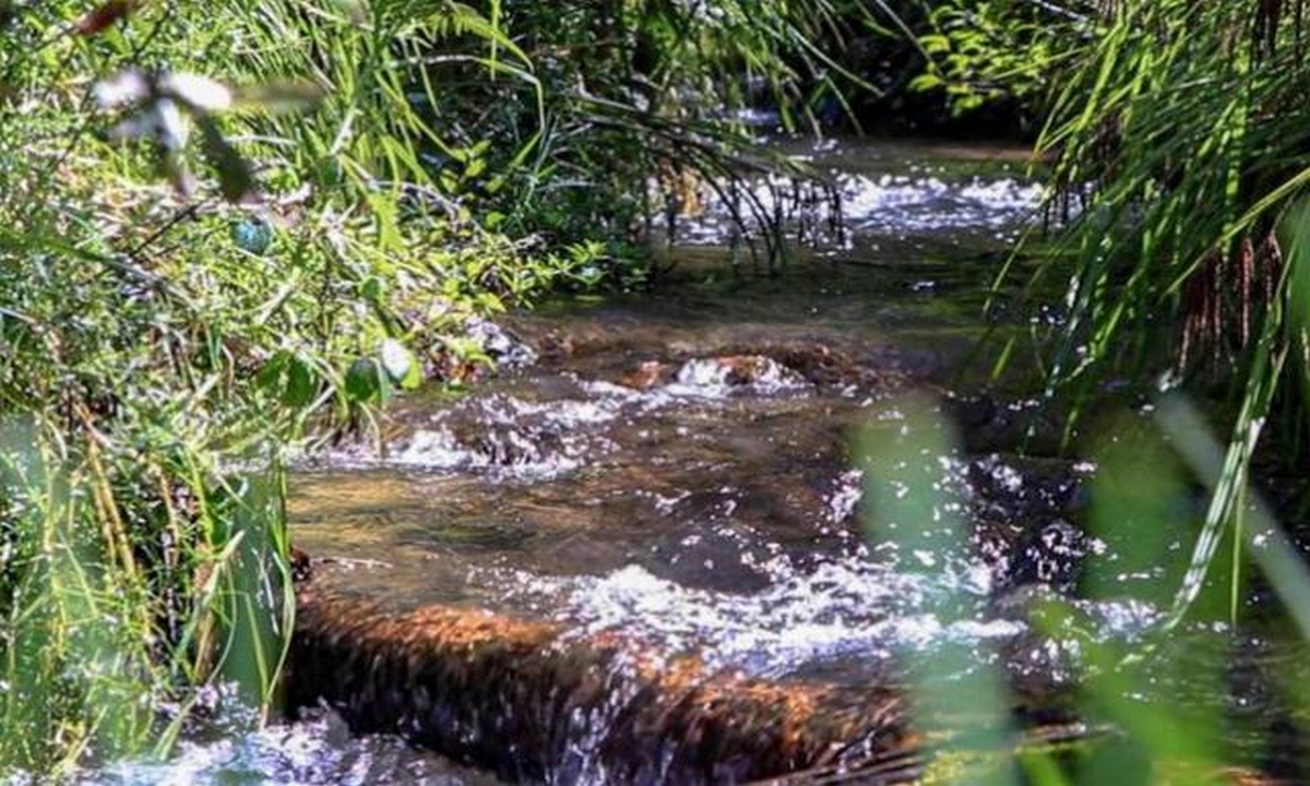 ¡Qué bien! Firman acuerdo para proteger la quebrada de Toibita, en Boyacá 1 Quebrada de Toibita