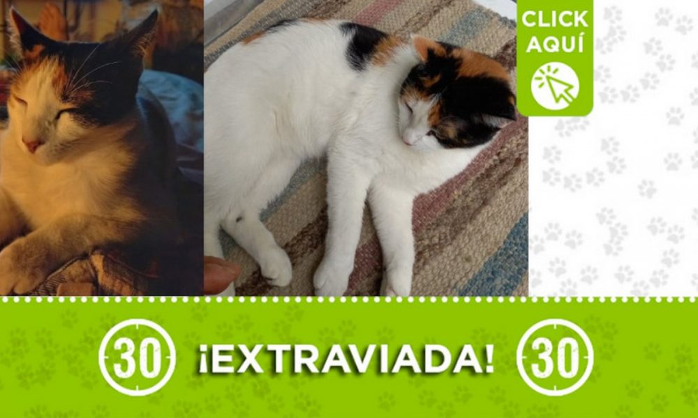 "Rita" se extravió en Prado Centro