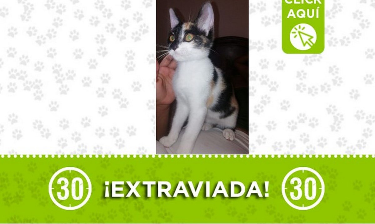 alanna-12-de-octubre