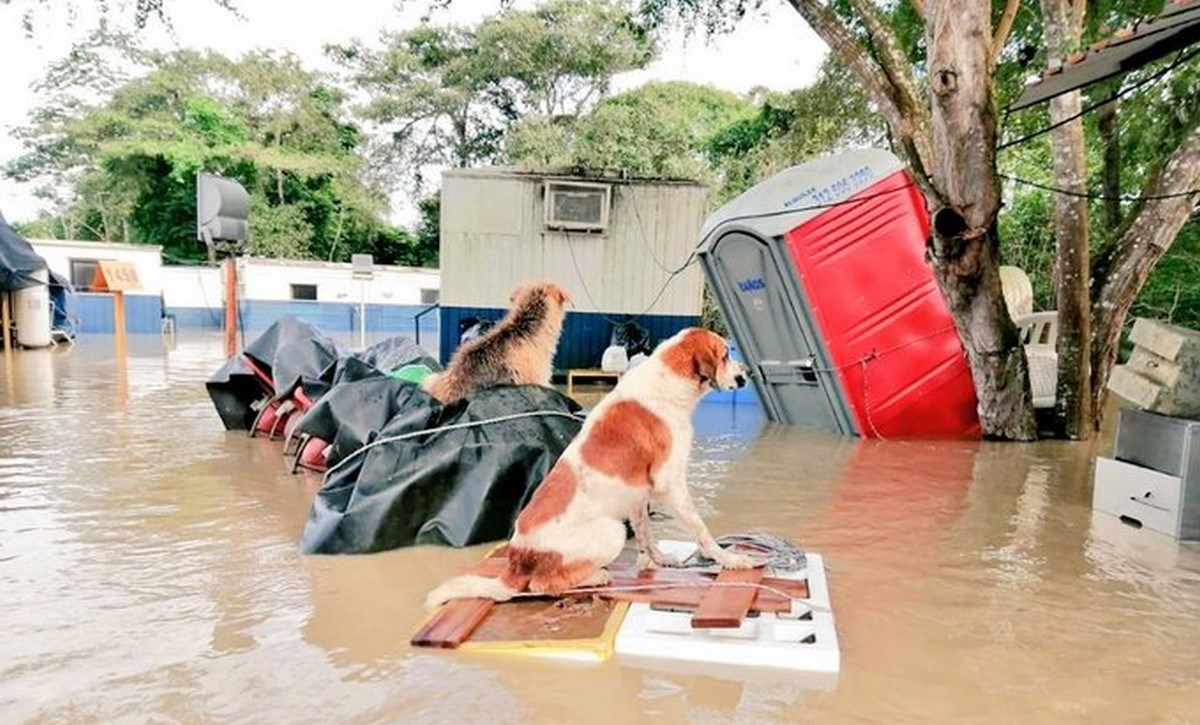 Emergencia en Arauca, declaran alerta roja por desbordamiento de ríos 1 arauca