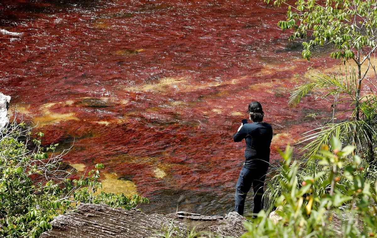 Caño Cristales, el río más bonito del mundo, brilla de nuevo tras la pandemia 2 cano cristales2