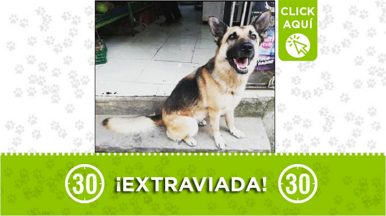 'Coni' se perdió en El Popular 1