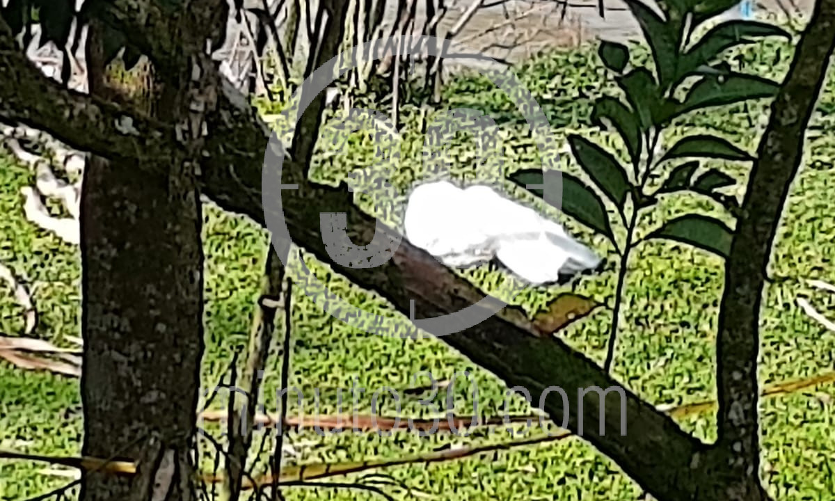 EN FOTOS: Sacaron otro cuerpo del río Medellín, esta vez en Barbosa 1 Barbosa