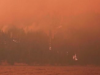 Los desastres naturales por la crisis climática aumentaron drásticamente desde 2019 1 desastres naturales