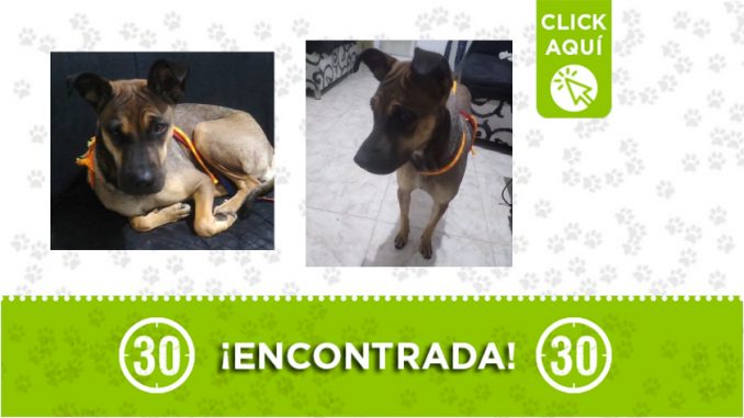 Manrique-encontrada Manrique-encontrada