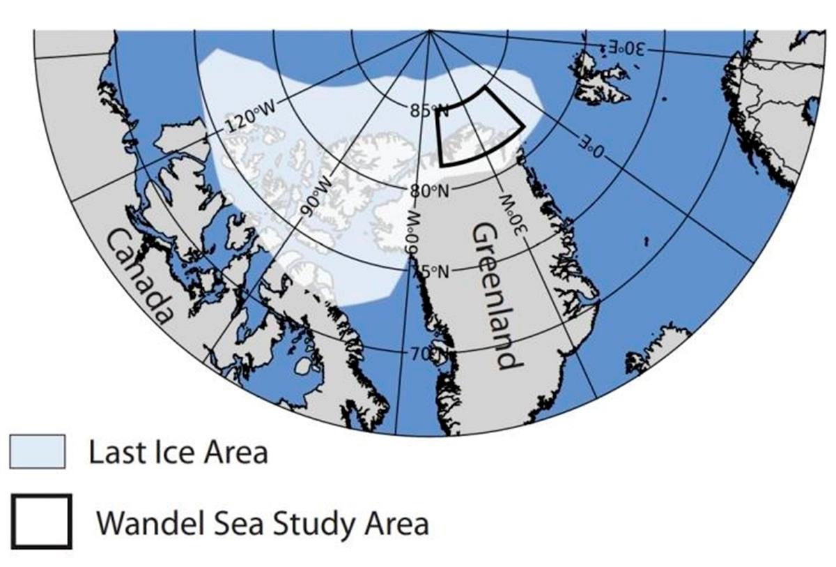 La última zona helada del Ártico mostró en 2020 una drástica pérdida de hielo 2 hielo polo2