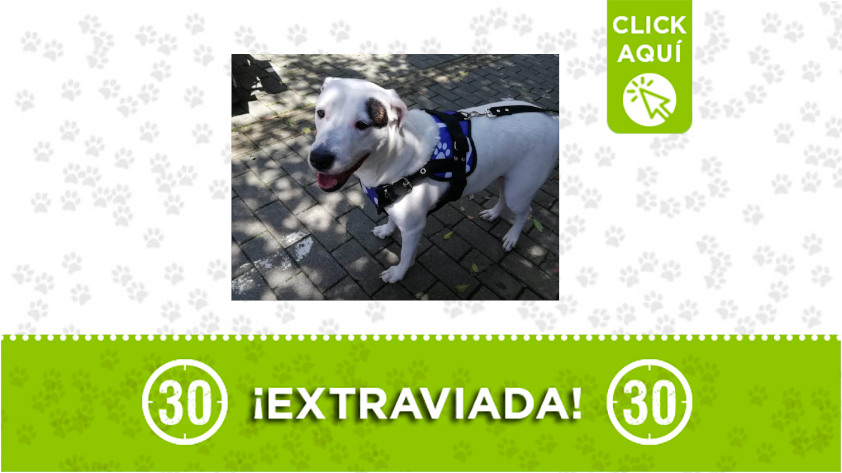 La familia de 'Kail' la está buscando ¡Comparte! 1 kail