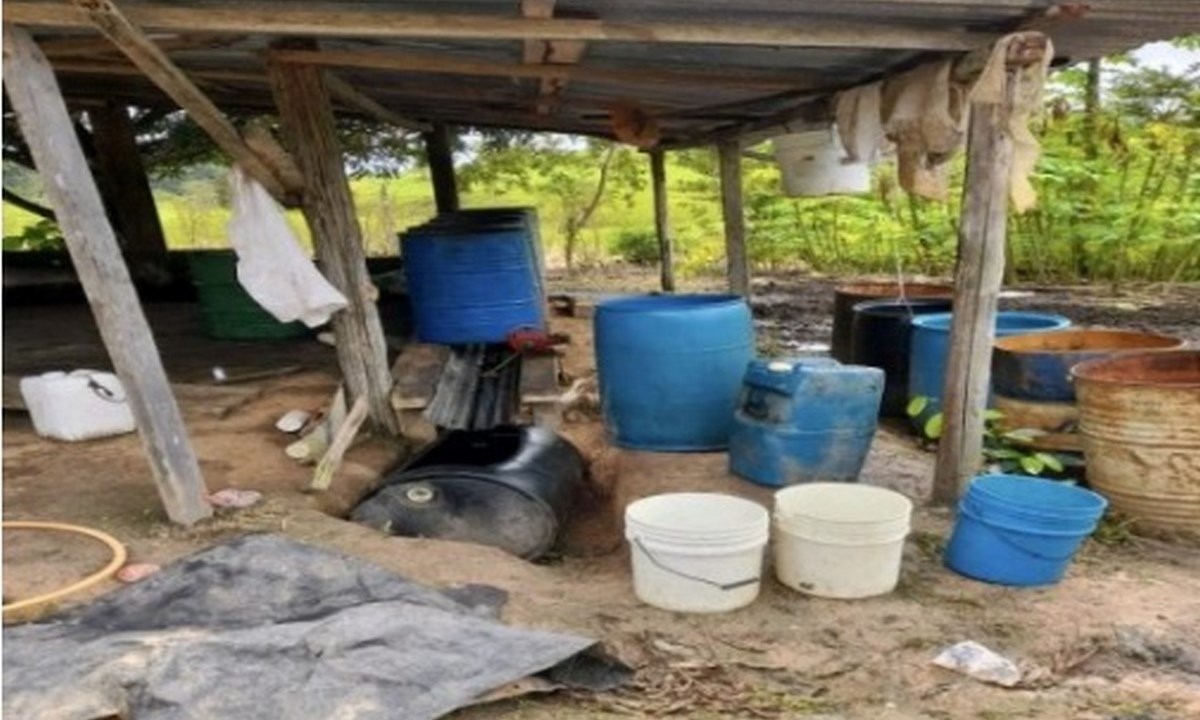 Destruyeron 23 laboratorios para el procesamiento de Cocaína de las disidencias de la Farc 1 laboratorios coca farc