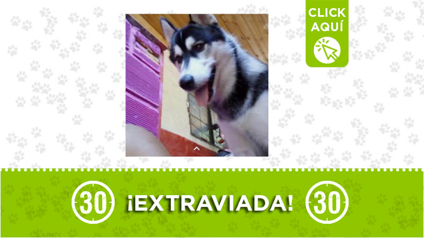 'Luna' se perdió en el Popular 2 ¡Comparte! 1 luna