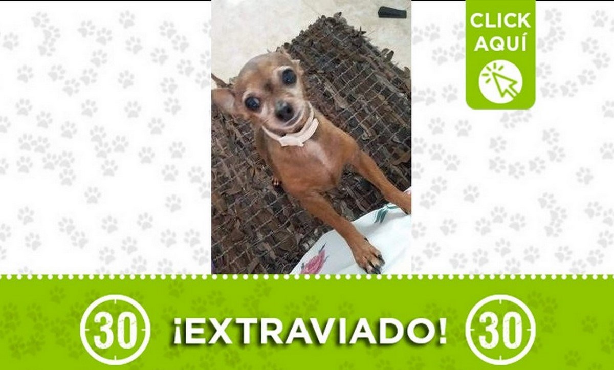 lupi prado centro
