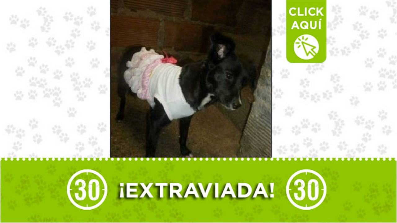 'Lupita' se perdió por los lados de París y La Maruchenga en Bello