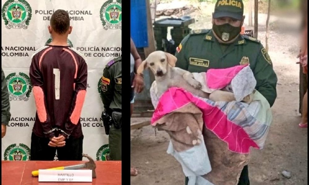 Le pegó con un martillo a una perrita en Puerto Triunfo