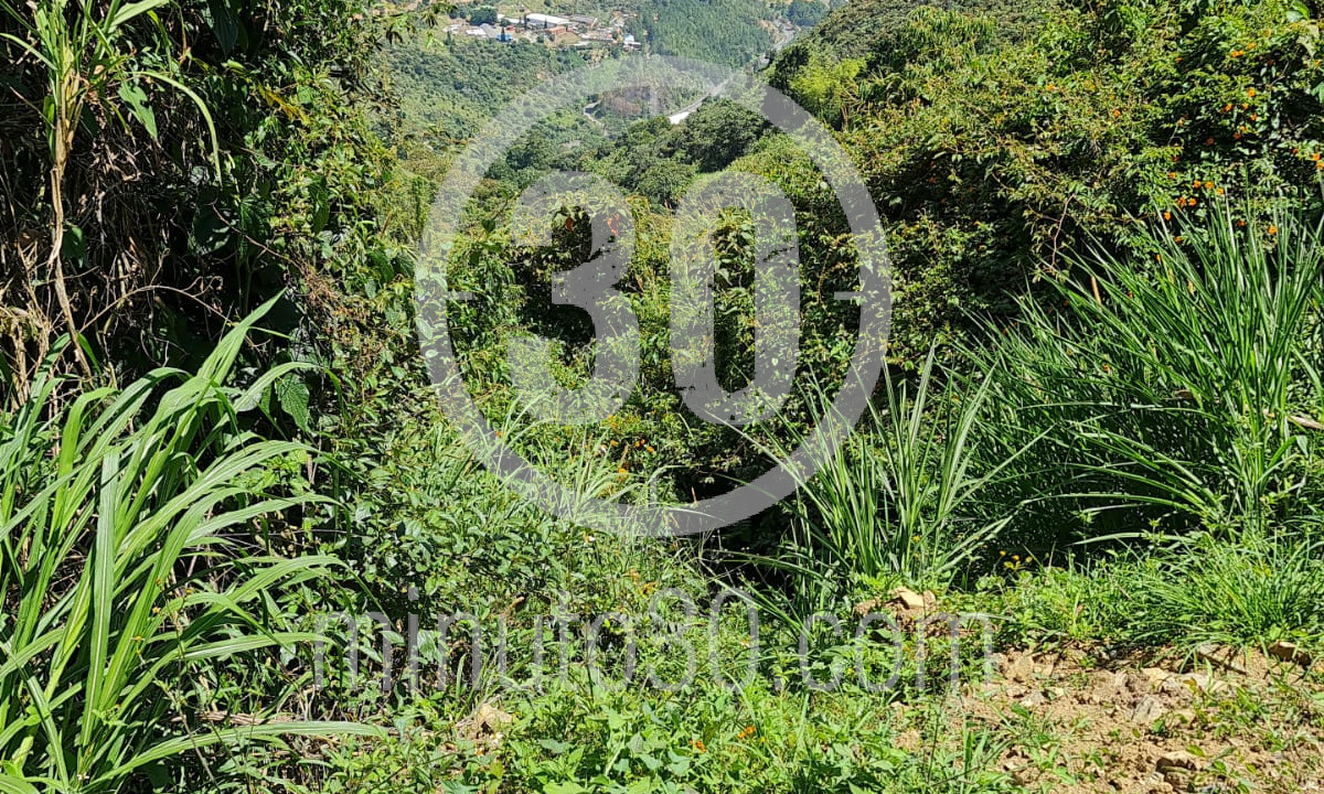 EN FOTOS: ¡Literal en medio de la nada! En una zona desolada de Copacabana hallaron un muerto 3 muerto hallado en Capacabana 3