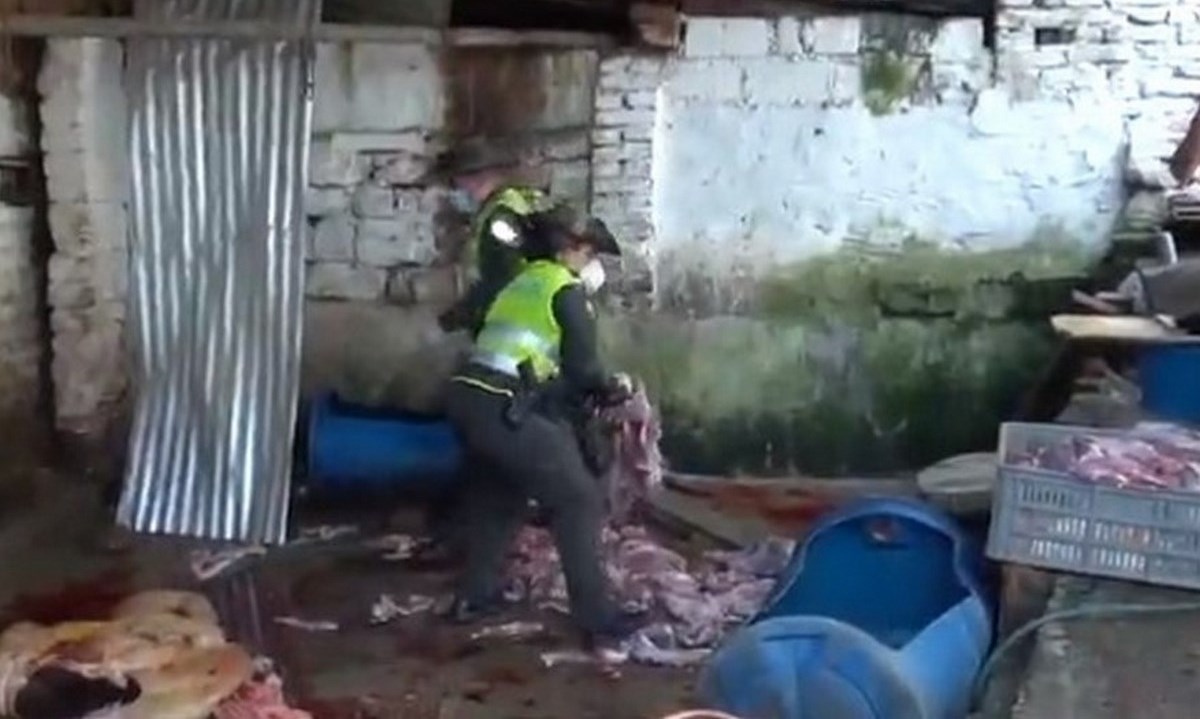 policia carne caballo
