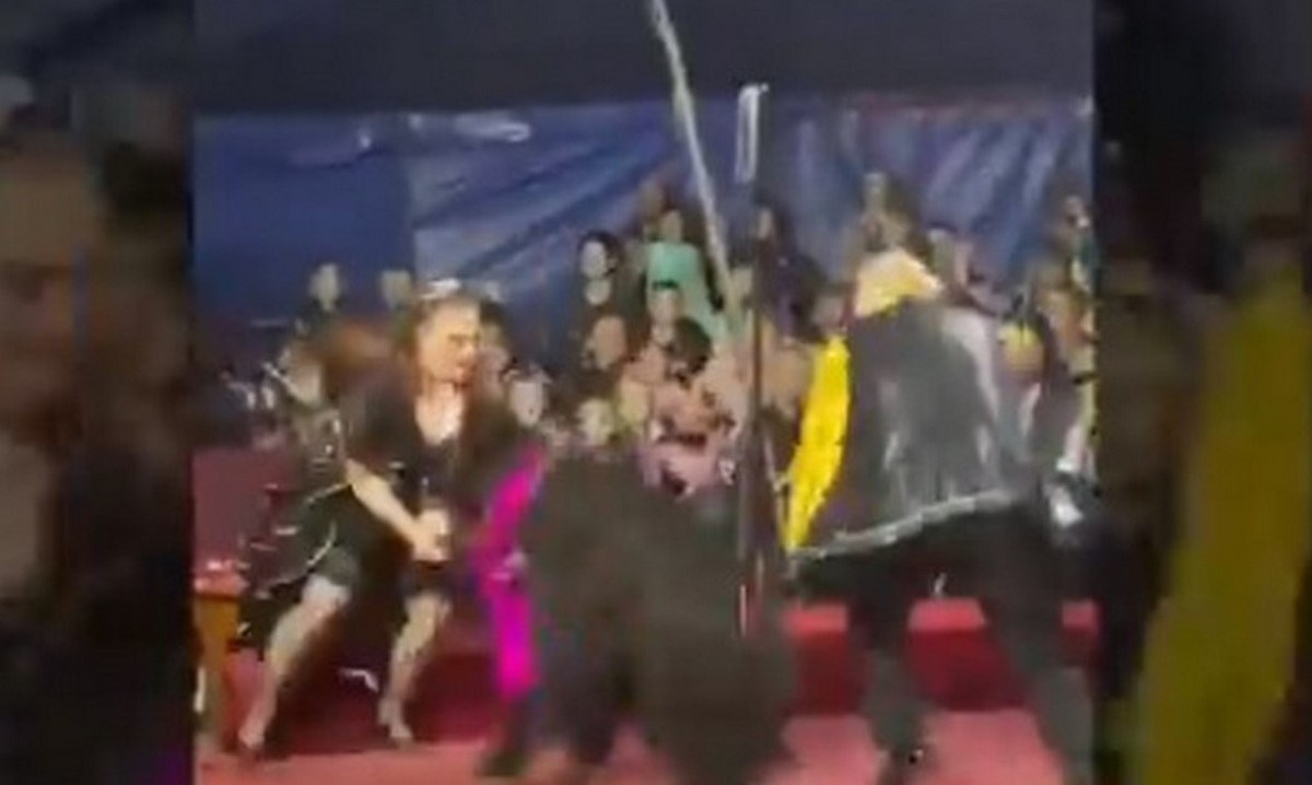 Dramático momento, oso atacó a su entrenadora durante un show infantil 1 show oso rusia