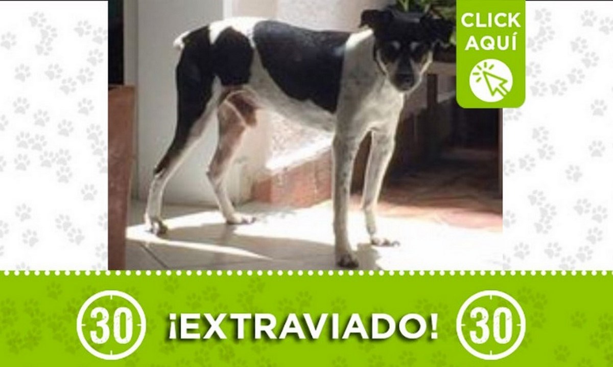 tobi santa M 21julio