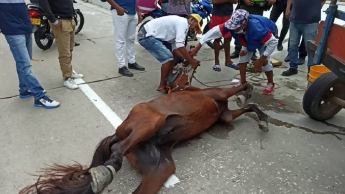 Barranquilla Barranquilla