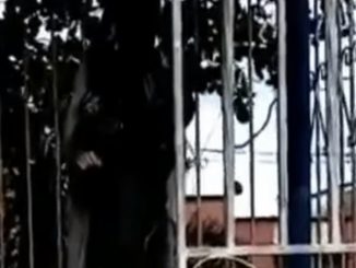 ¿Brujería? En Buenaventura quemaron la estatua de la Virgen María 1 Buenaventura