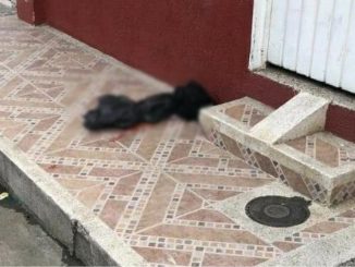 ¡Aterrador! Hallan una cabeza humana en el andén de una casa en Buga, Valle del Cauca 1 Buga