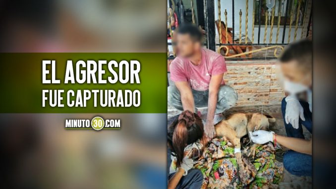 Desadaptado-ataco-un-peludito-a-machetazos Barranquilla