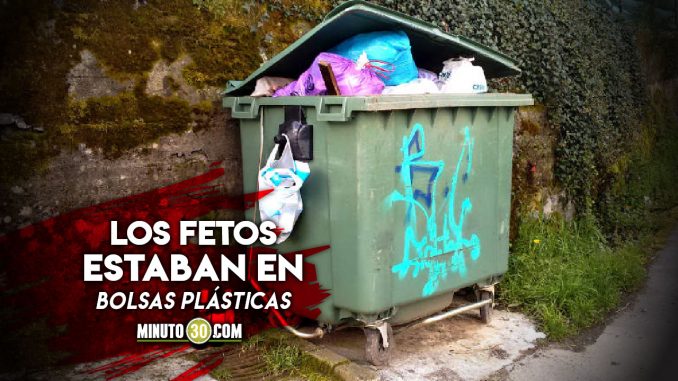 En-un-contenedor-de-basuras-encontraron-tres-fetos fetos
