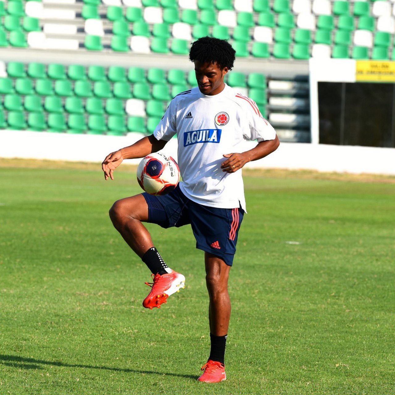 Doce jugadores de la Selección Colombia prenden las alarmas, ante posible sanción 2 Entrenamiento Seleccion Colombia agosto 31 10